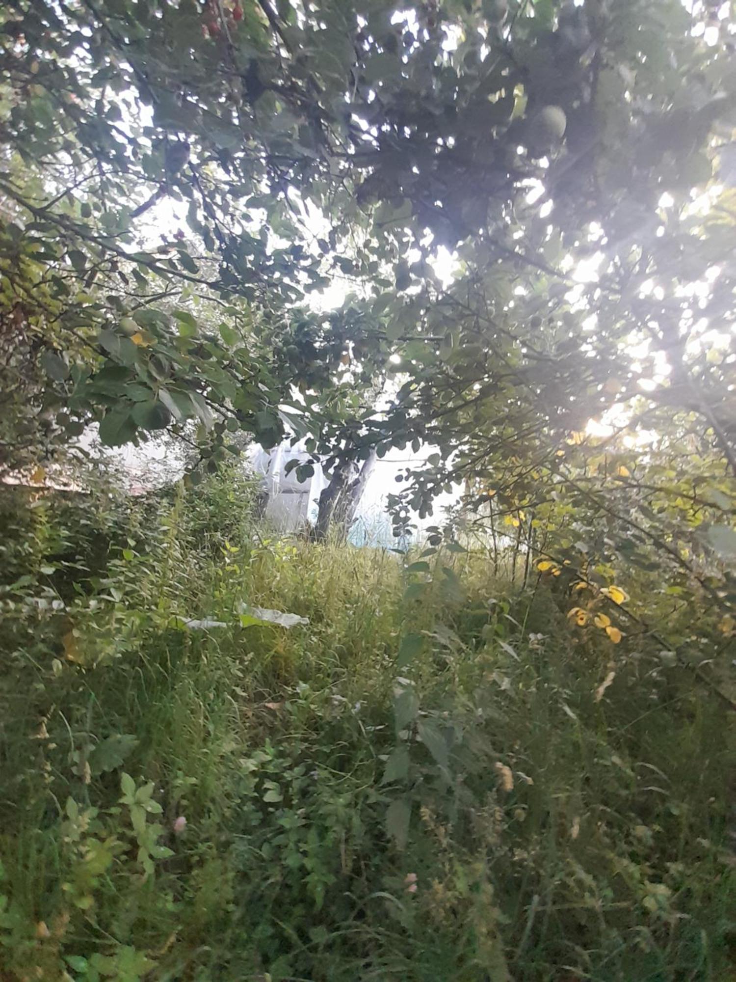 Waterfall In The Yard Karakol Luaran gambar